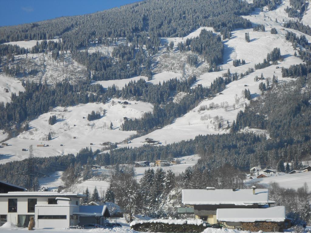 Ferienwohnung Fred Hollersbach im Pinzgau Bagian luar foto